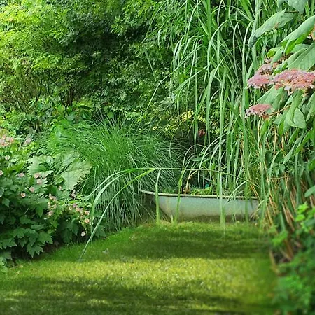 Pomme D'happy * Autheux