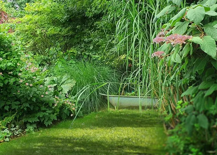 Pomme D'happy * Autheux